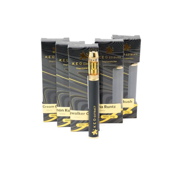 Disposable THC Vape Pen 1000mg | Blackberry Kush (Indica)